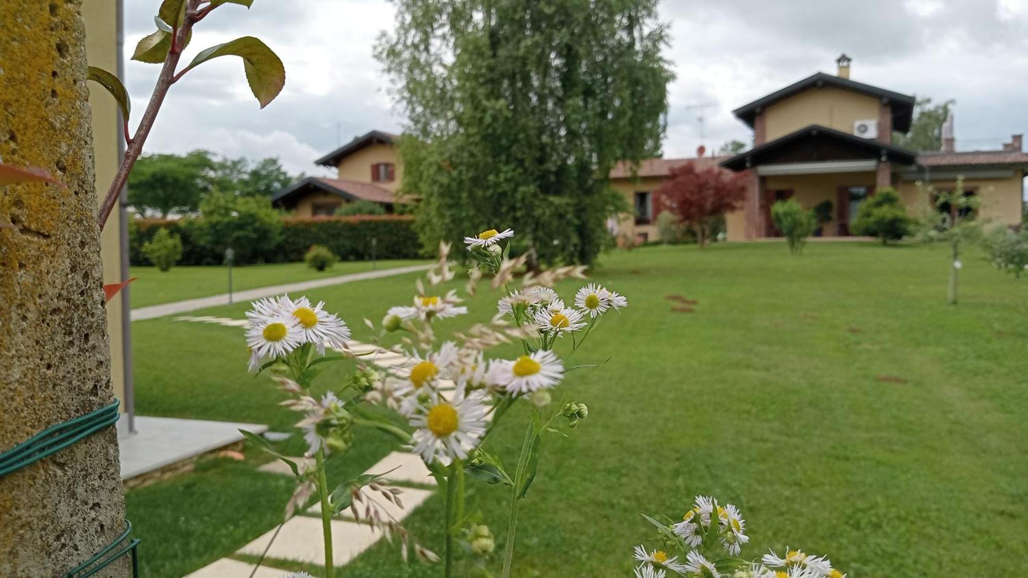 Agriturismo L'Antico Sapore Baraggia di Boca エクステリア 写真