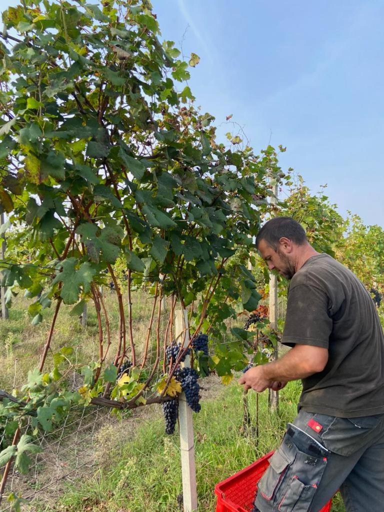 Agriturismo L'Antico Sapore Baraggia di Boca エクステリア 写真