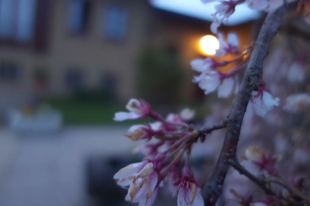 Agriturismo L'Antico Sapore Baraggia di Boca エクステリア 写真
